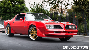 Pontiac-Firebird-20-Rennen-CSL%2B2-Gold%2BFace%2BChrome%2BStep%2BLip-2782.jpg