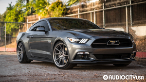 Ford-Mustang%2BGT-20-Stance-SF01-Brush%2BTitanium-4674.jpg