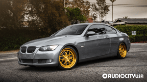 BMW-3%2BSeries-19-Rennen-CSL%2B2-Custom%2B24k%2BGold%2BPlatted-3001.png