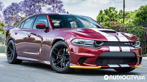 Dodge-Charger%2BSRT-20-Stance-SF03-Gloss%2BBlack-5978.jpg