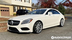 Mercedes%2BBenz-CLS-Class-20-Savini-BM15-Silver%2BBrushed-6244.jpg