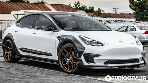 Tesla-Model%2B3-20-Rohana-RFX11-Brushed%2BBronze-3209.jpg