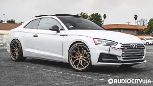 Audi-S5-20-Stance-SF10-Brushed%2BDual%2BBronze-7049.jpg