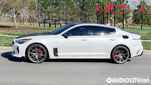 KIA-Stinger-20-Verde-VX99-Gloss%2BBronze-2383.jpg