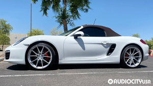Porsche-Boxter%2B%252F%2BCayman-21-Vertini-RFS1.2-Silver%2BBrushed-4341.jpg