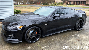 Ford-Mustang%2BGT%2BPerformance%2BPKG-20-P51-101RF-Gloss%2BBlack-2801.jpg