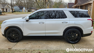Hyundai-Palisade-22-Pinnacle-P302%2BLavish-Gloss%2BBlack-7681.jpg