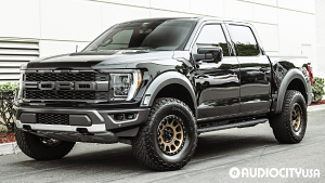Ford-F-150-17-Method-305%2BNV-Bronze-3882.jpg