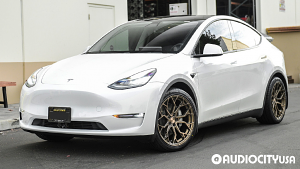 Tesla-Model%2BY-20-Stance-SF10-Brushed%2BDual%2BBronze-3536.jpg