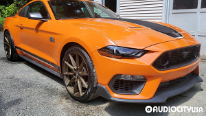 Ford-Mustang%2BMach%2B1-20-Brada-CX2-Satin%2BBronze-5436.jpg