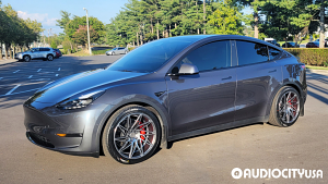 Tesla-Model%2BY-20-ACE%2BAlloy-D716%2BDriven%2B-%2BTrue%2BDirectional-Matte%2BMica%2BGrey%2Bwith%2BMachined%2BFace-8145.jpg