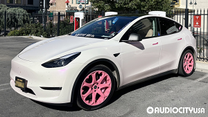 Tesla-Model%2BY-19-Heritage-Kokoro%2BMonoC-Sakura%2BPink-5792.jpg