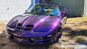 Pontiac-Firebird-18-Shift-Piston-Gloss%2BBlack%2Bwith%2BPurple%2BMachined-5243.jpg