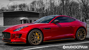Jaguar-F-Type-20-Stance-SF10-Brushed%2BDual%2BBronze-4653.jpg