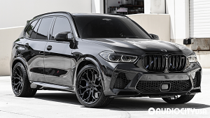 BMW-X5%2BM-22-Stance-SF10-Gloss%2BBlack-1617.jpg