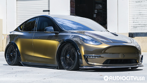 Tesla-Model%2BY-20-LA%2BWire-FWD%2B150-Spoke%2BStraight%2BLace-Gloss%2BBlack%2B%252ACustom-3533.jpg