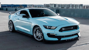 Ford-Mustang%2BShelby%2BGT350%2B%252F%2B350R%2B%252F%2B500-19-Variant%2BForged-Aure-Chrome%2BPowder-4350.jpg