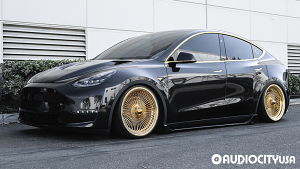 Tesla-Model%2BY-20-LA%2BWire-FWD%2B150-Spoke%2BStraight%2BLace-Gold%2BPlating-6573.jpg