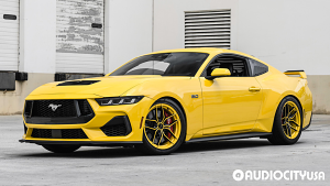 Ford-Mustang%2BGT%2BPerformance%2BPKG%2BLevel%2B1%2B%252F%2B2-19-Stance-SF03-Custom%2BGloss%2BBlack%2Bwith%2BYellow%2BFace-2237.jpg