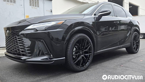 Lexus-RX%2BSeries-22-NV-NV1-Gloss%2BBlack-3175.jpg