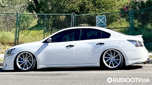 Nissan-Maxima-20-Stance-SF01%2B-%2BTrue%2BDirectional-Brush%2BFace%2BSilver-1679.jpg