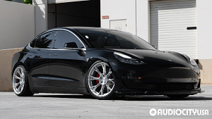 Tesla-Model%2B3-20-Vertini-RFS2.7-Brushed%2BSilver-1678.jpg