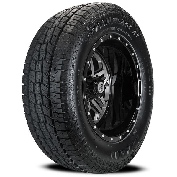 Lexani Terrain Beast AT (4pcs) #20_Dually_Tires_007